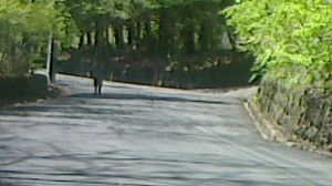 105.jpg