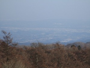116.jpg
