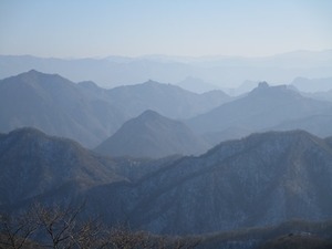 117.jpg
