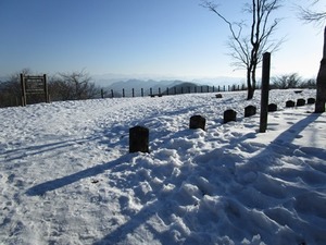 119.jpg