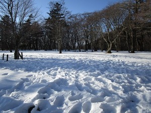 120.jpg