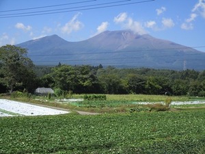 145.jpg