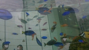2014082614430000.jpg