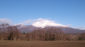 DSC_02788.jpg