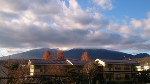 DSC_0498.jpg