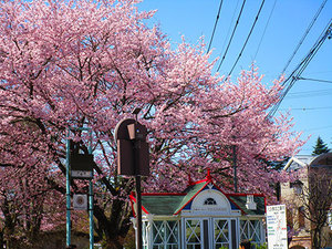 IMG_9770.jpg