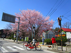 IMG_9772.jpg
